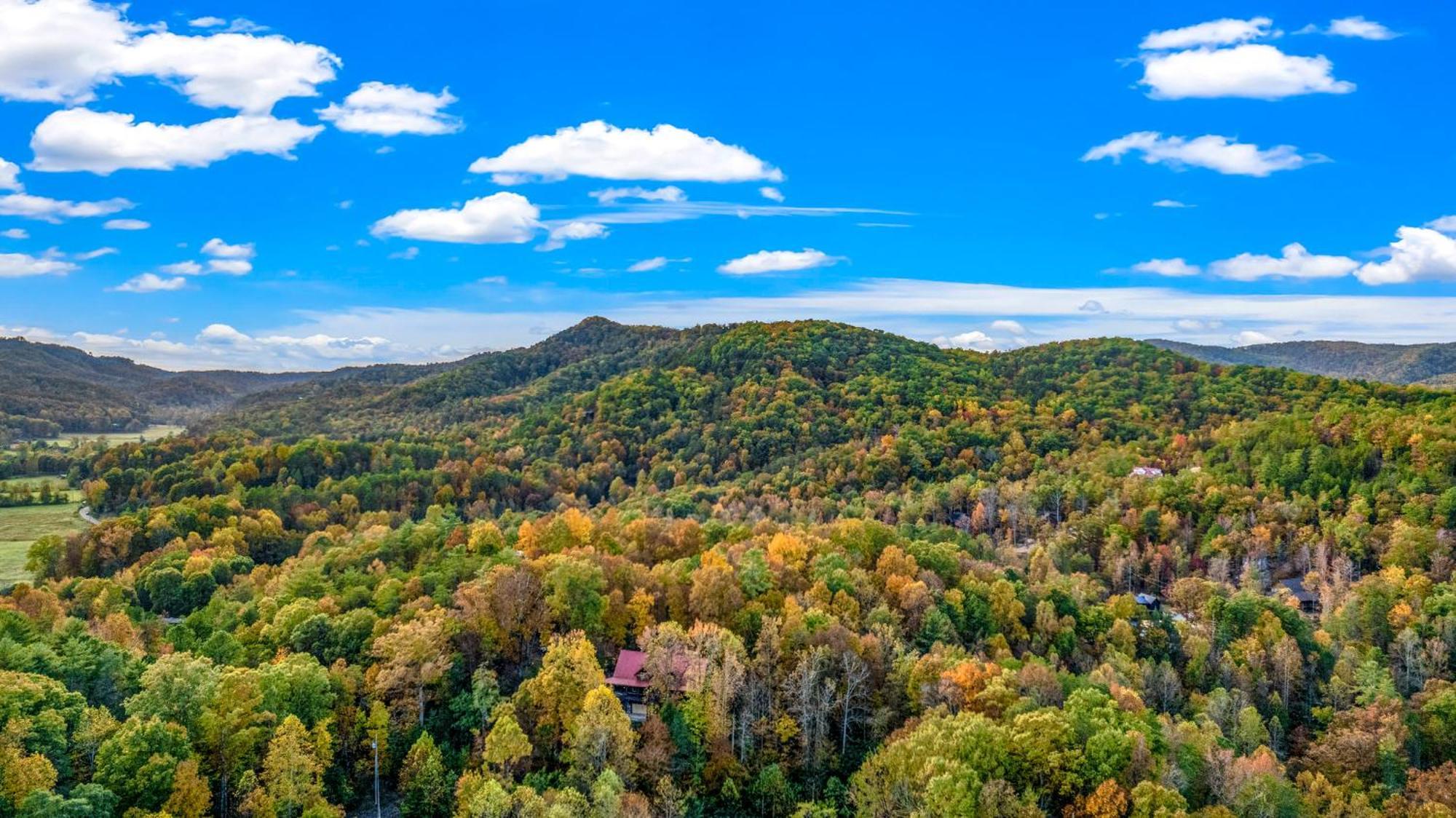Relaxation Retreat - Pickleball Cabin - Wi-Fi, Fire Pit With Bar, Game Room, Hot Tub, Pool Access - Mins To Pf Sevierville Exterior photo